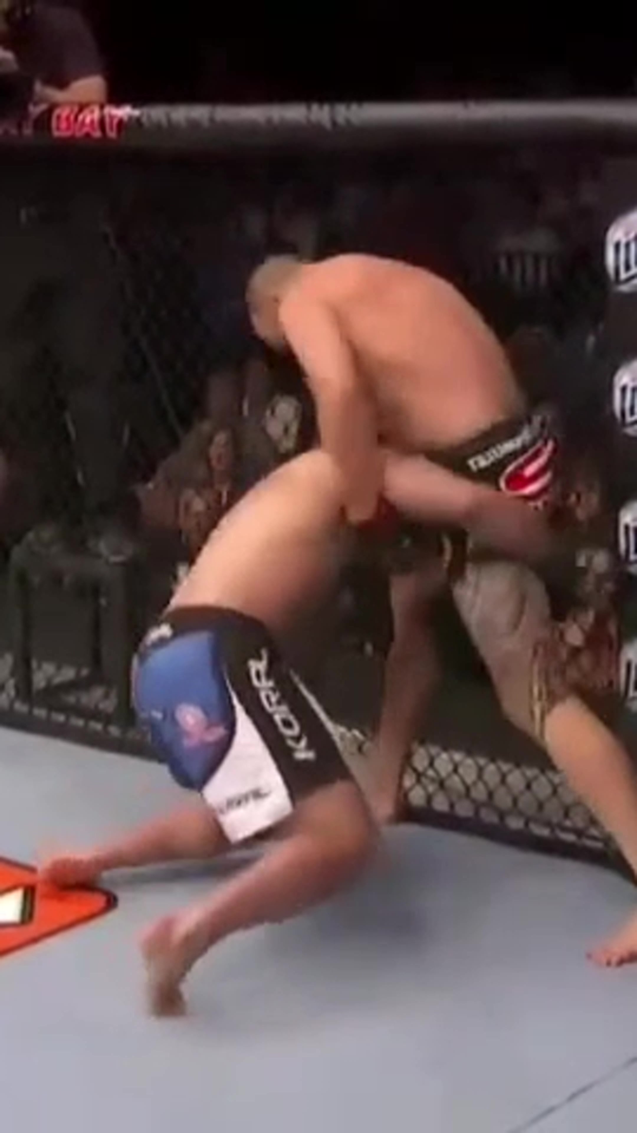 Head Kick Lands in UFC History 🦵 by Amjid